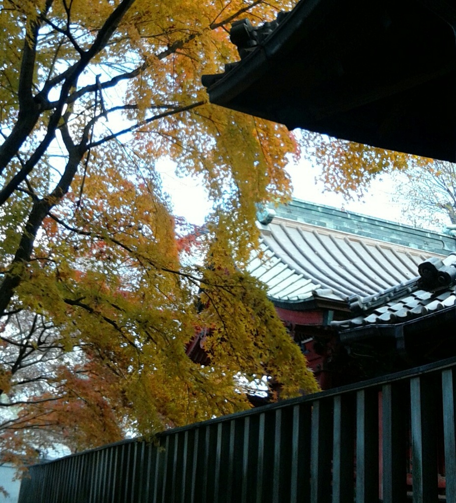 【建】神社