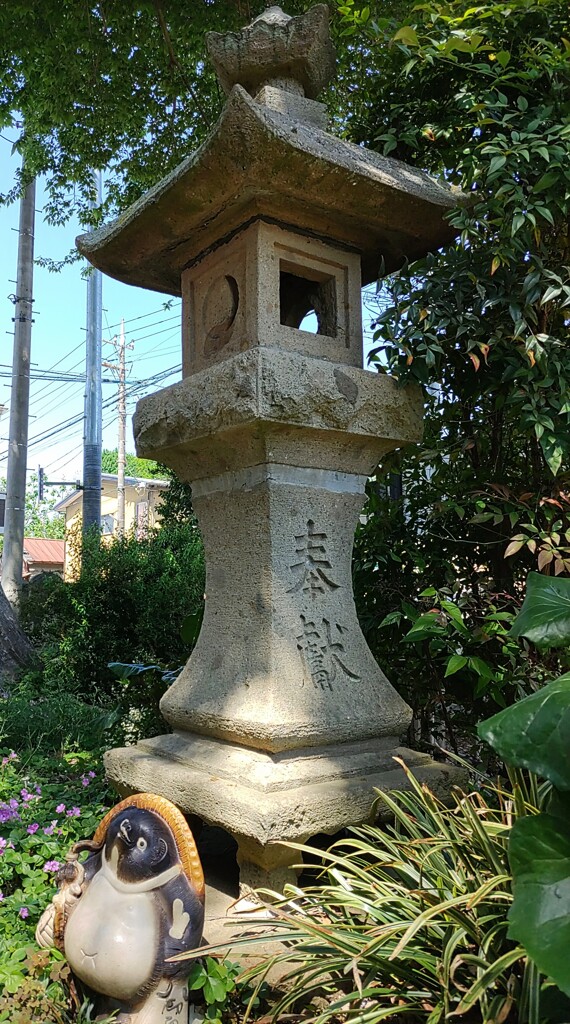 [ｵｳﾞｼﾞｪ]狸