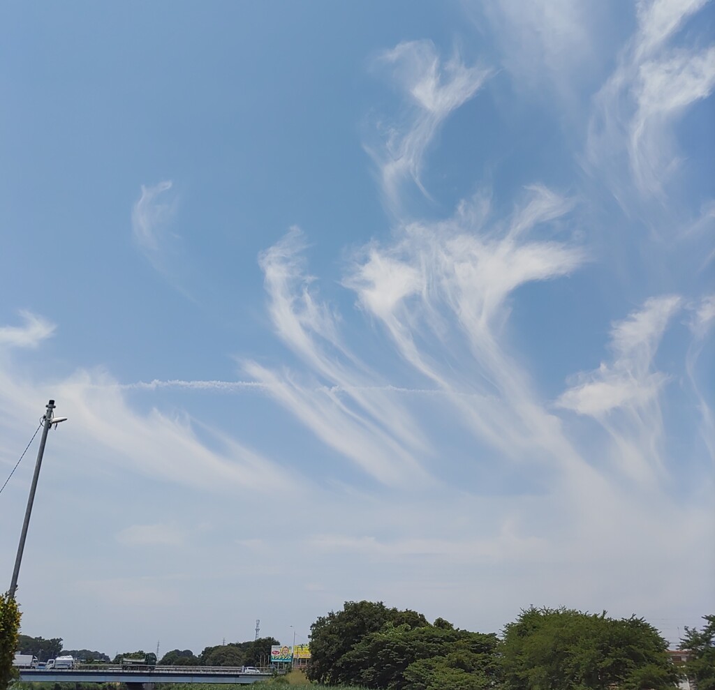 『空』AM