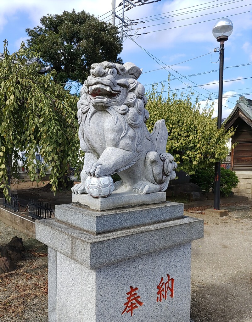 [狛犬]右