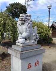 [狛犬]右