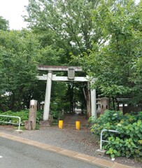[氷川神社]