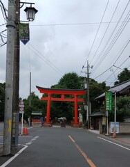 [鷲宮神社]