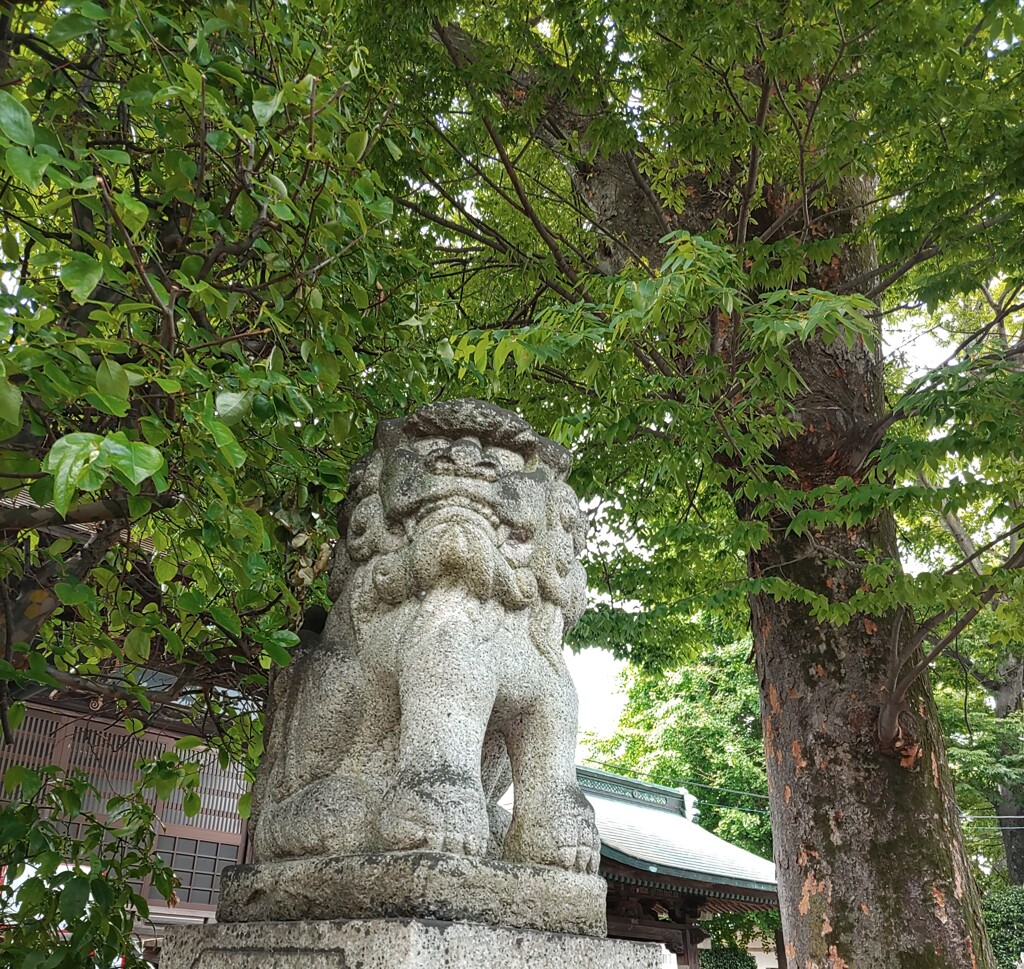 [狛犬]左