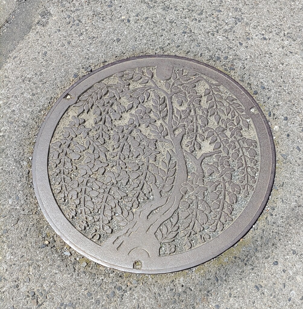 【街中】ﾏﾝﾎｰﾙ
