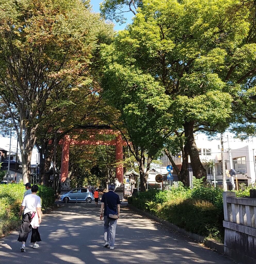 [氷川神社]