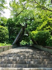 [階段]