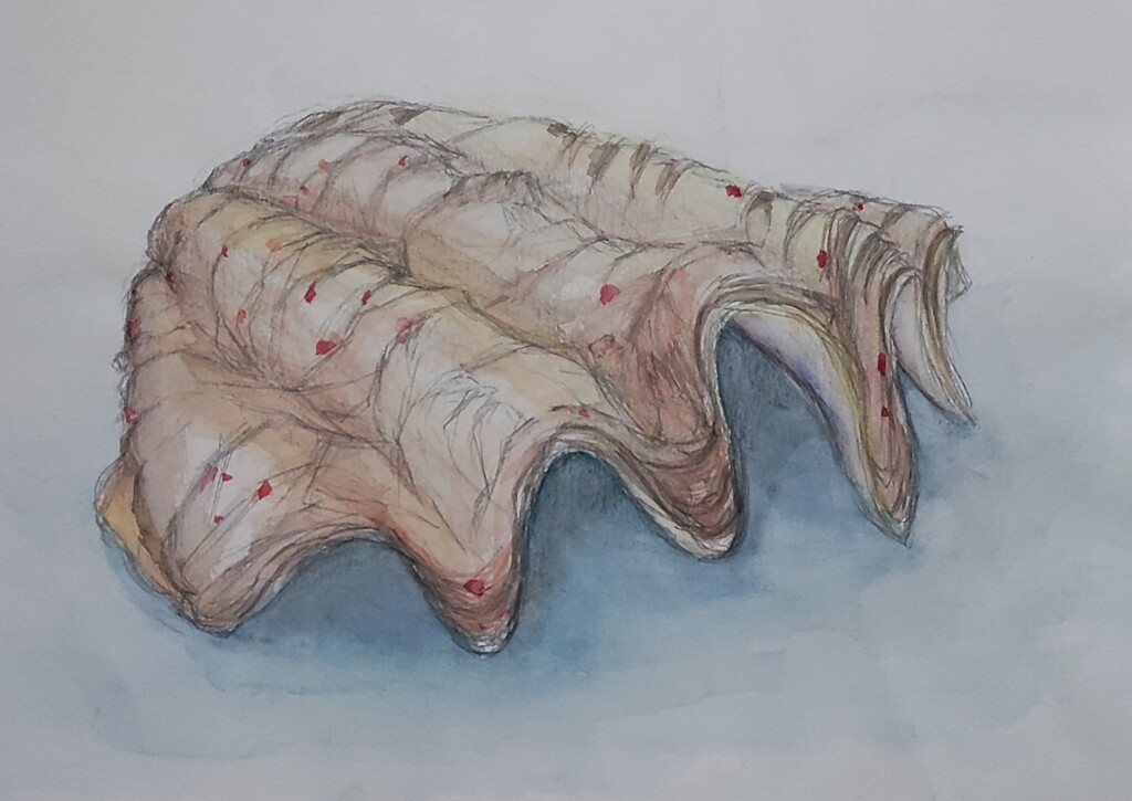 ｲﾗｽﾄ