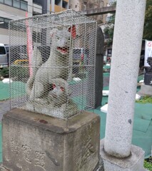 [狐神使]