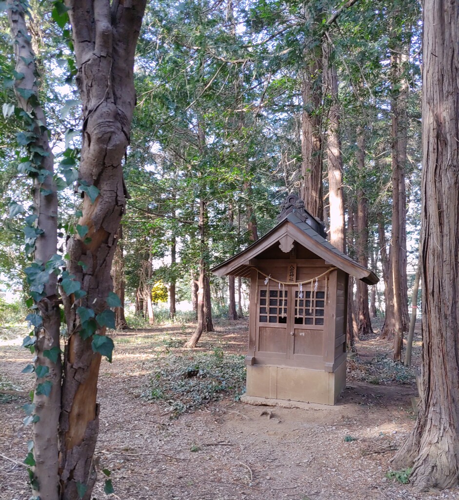 [八雲神社]