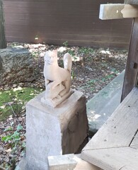 [神使]狐