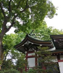 [八幡宮]