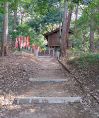 [径風景]