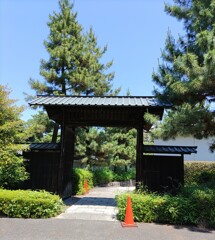 通[門]