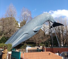 [ｵｳﾞｼﾞｪ]