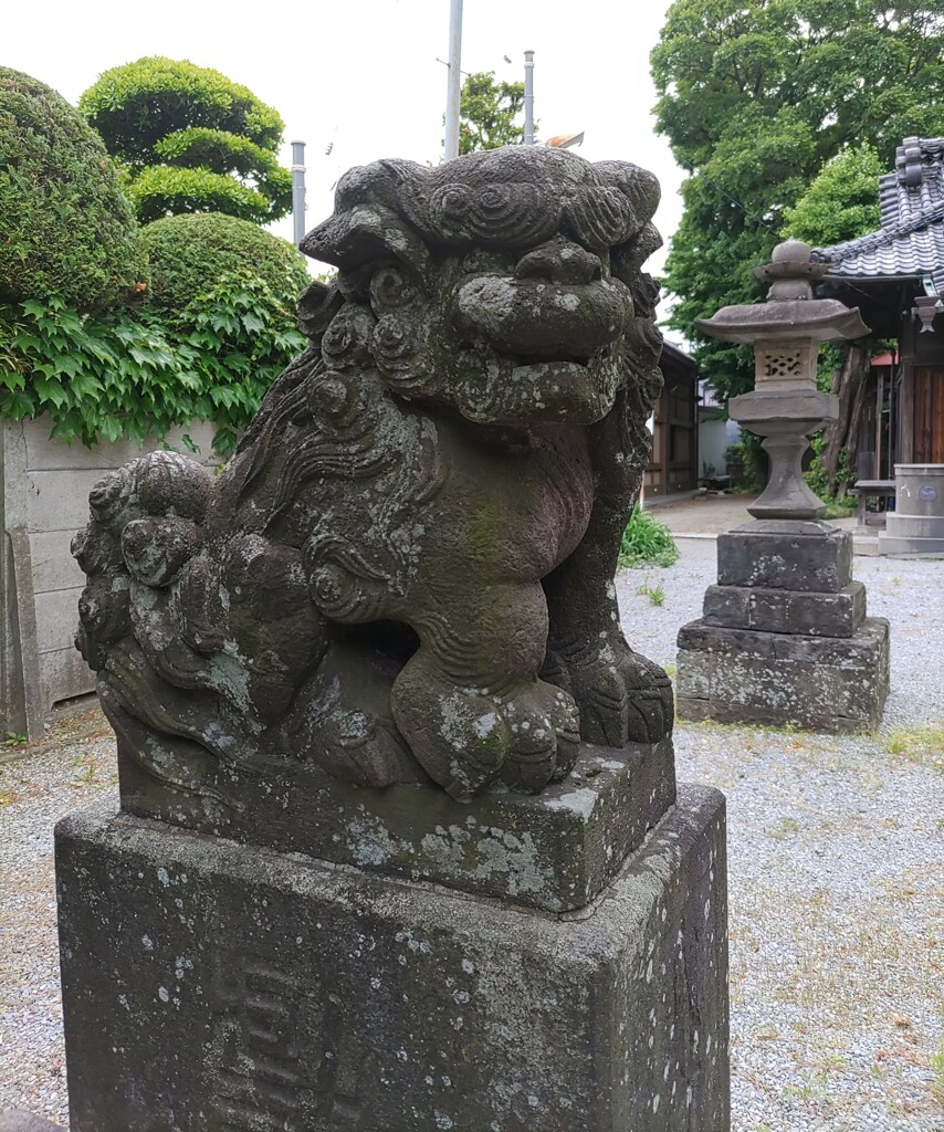 [狛犬]左
