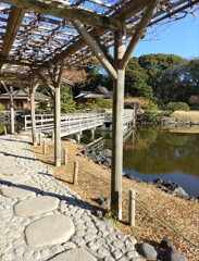 [渡]橋