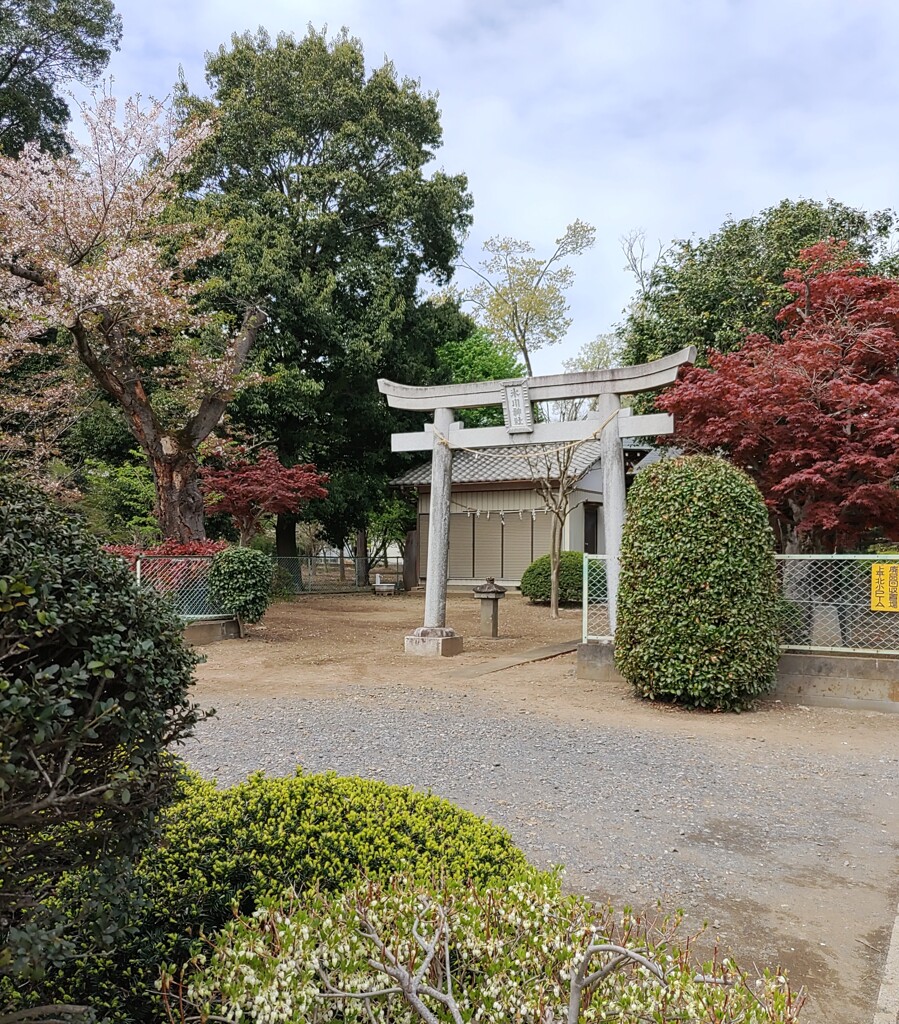[氷川神社]