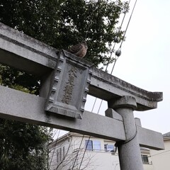 ｢ｷｼﾞﾊﾞﾄ｣