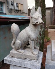 [神使]狐