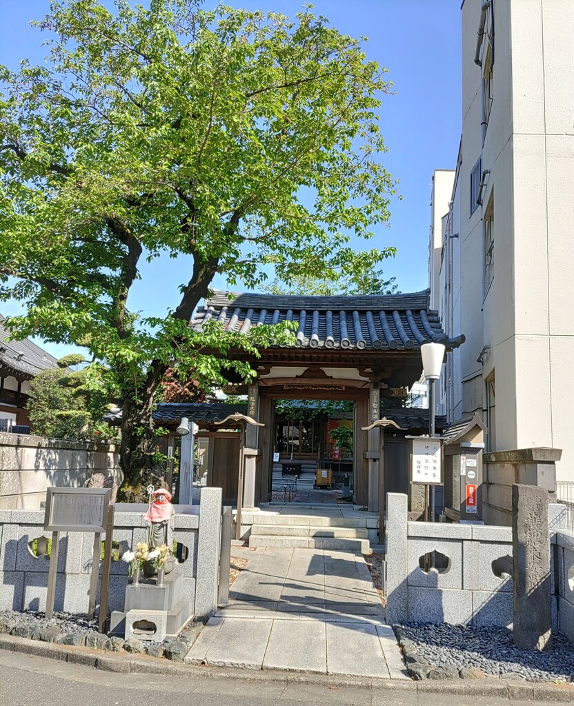 【建】通