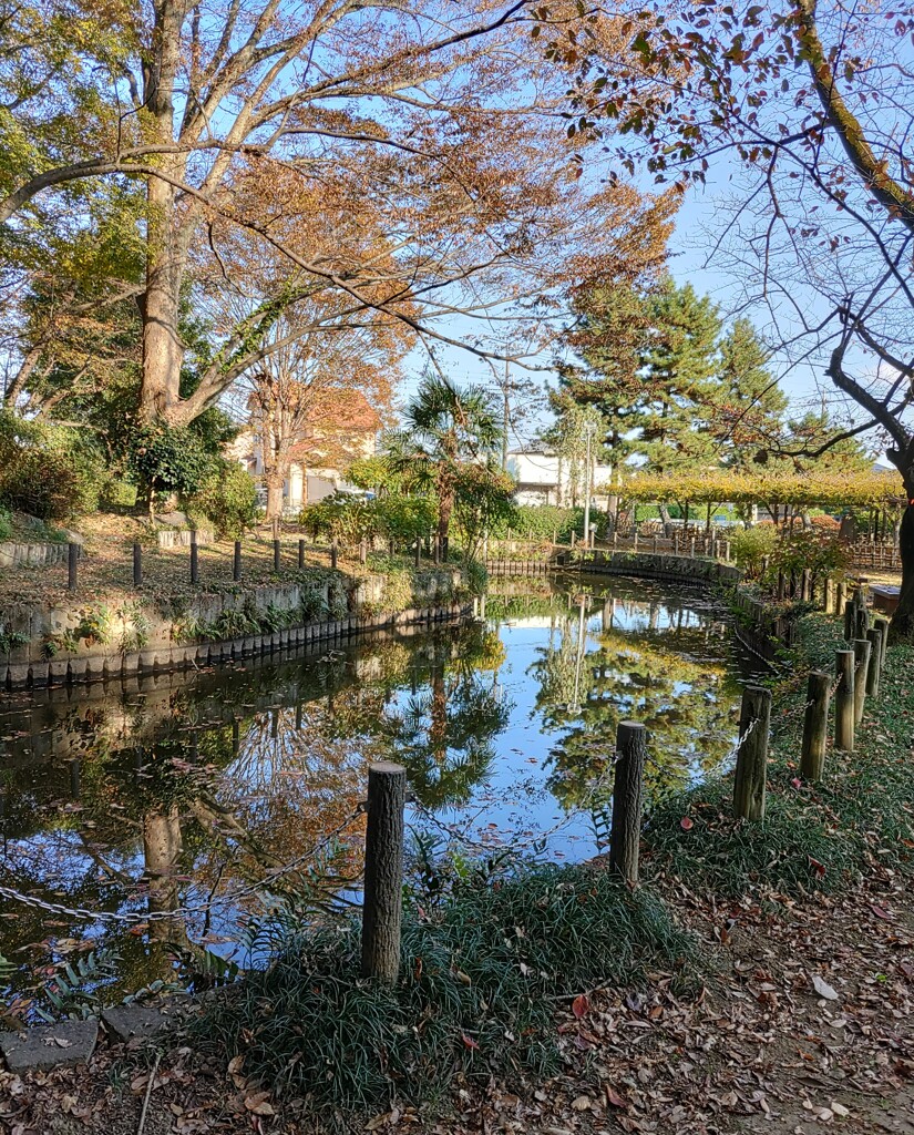 『池』