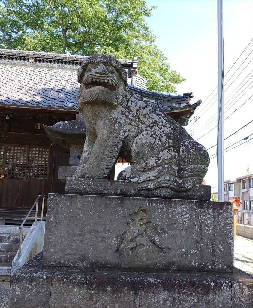 [狛犬]右