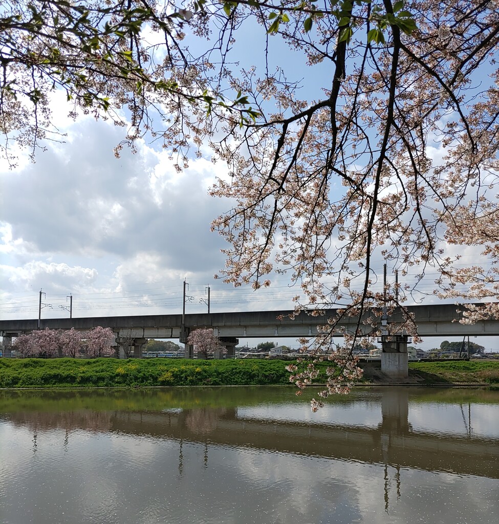 『河川』