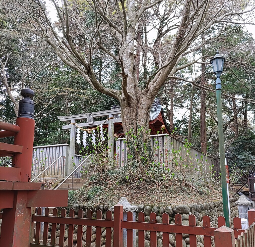 [浅間神社]