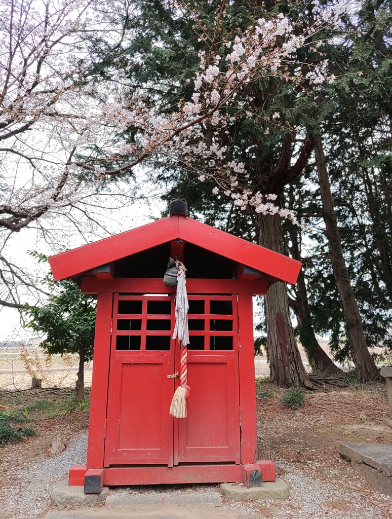 [神社]稲荷