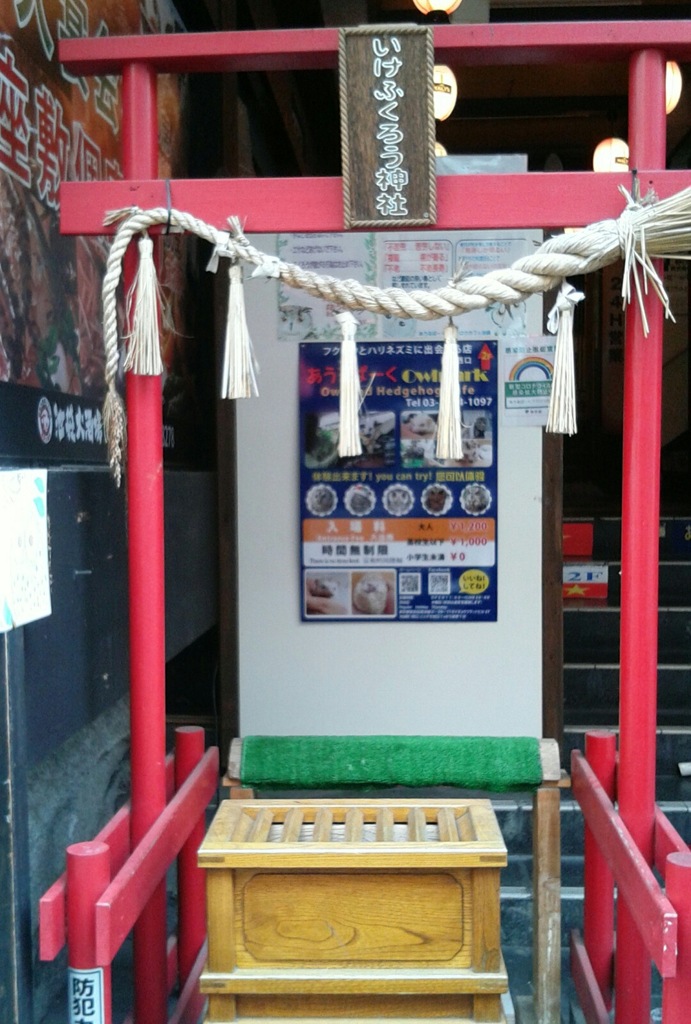 『いけふくろう神社』