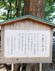 【街中】版
