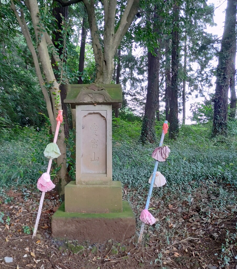 [神社]愛宕