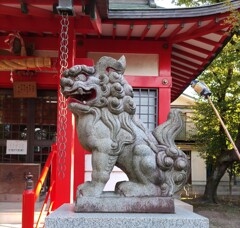 [狛犬]右