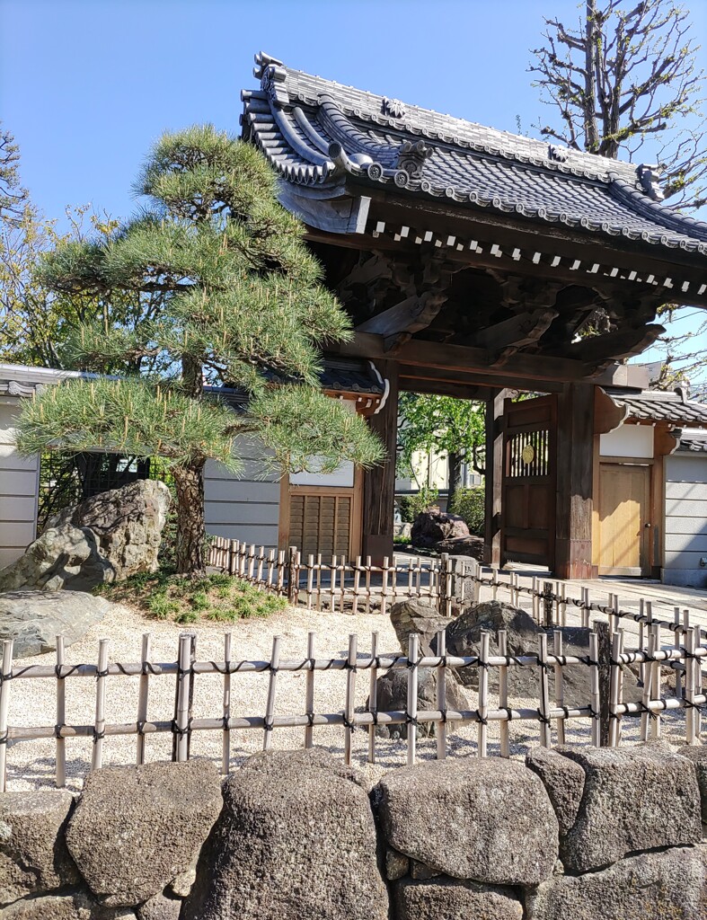 通[寺門]
