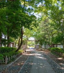 [径風景]