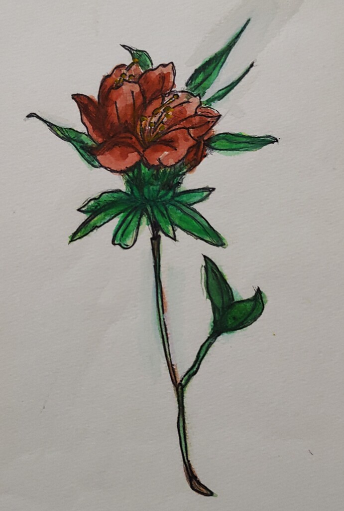 ｲﾗｽﾄ