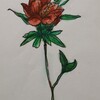 ｲﾗｽﾄ