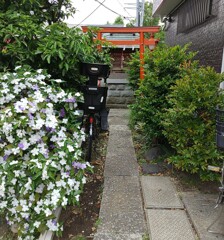[神社]稲荷
