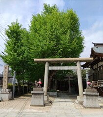 [稲荷神社]
