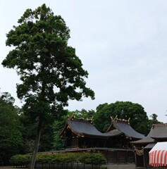 鷲宮神社