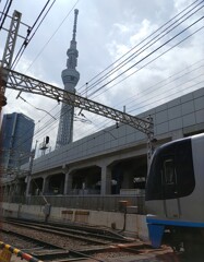 [ｽｶｲﾂﾘｰ]
