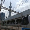 [ｽｶｲﾂﾘｰ]