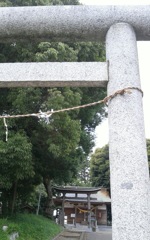 『氷川神社』