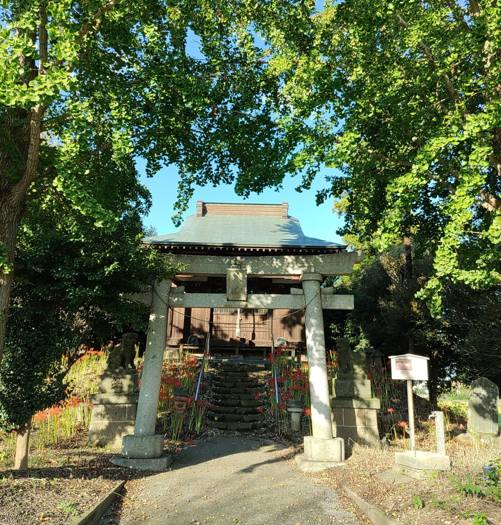 [神社]鷲