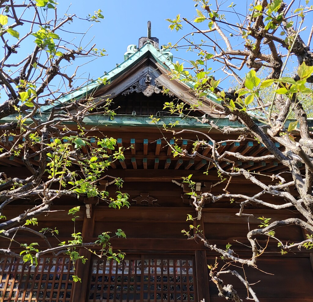 [神社]八雲