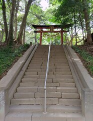 [氷川女體神社]