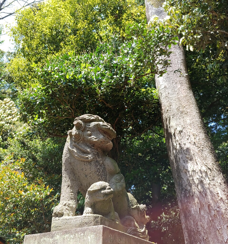 [狛犬]右