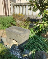【水】手水鉢