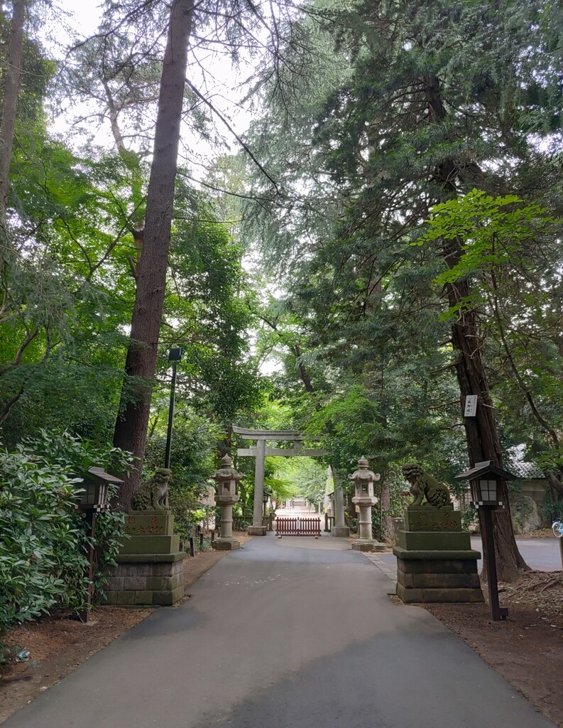 [久伊豆神社]